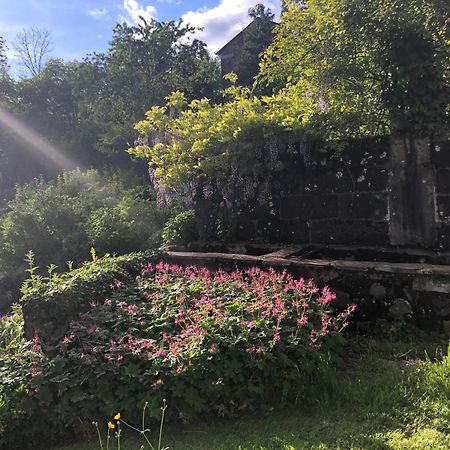 Le Figarelou Bed & Breakfast Thiézac Екстериор снимка
