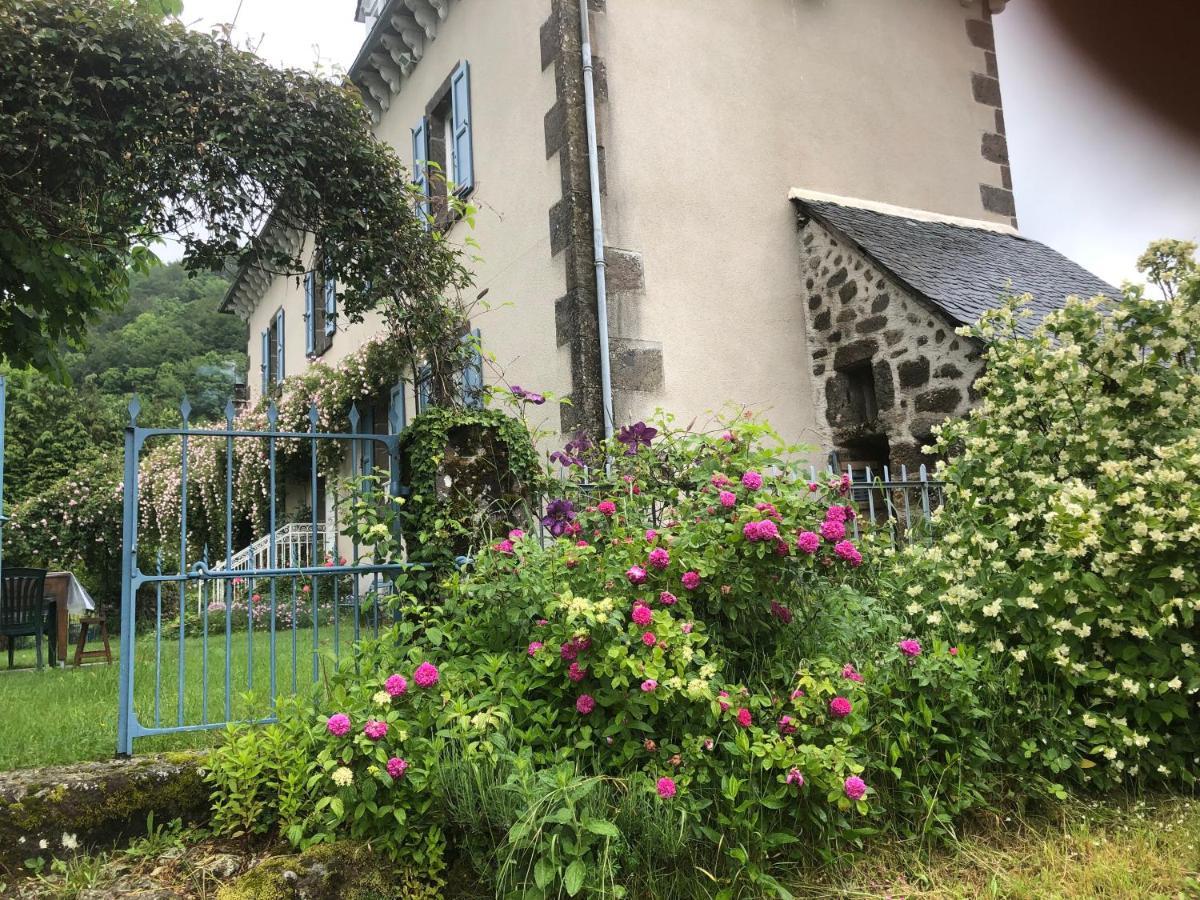 Le Figarelou Bed & Breakfast Thiézac Екстериор снимка