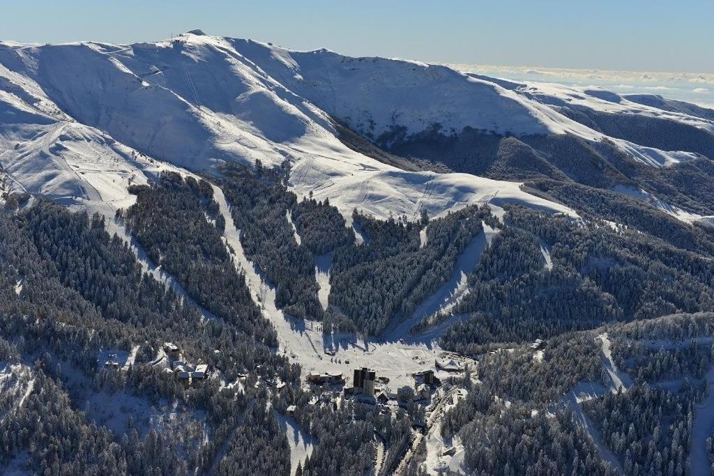 Le Figarelou Bed & Breakfast Thiézac Екстериор снимка