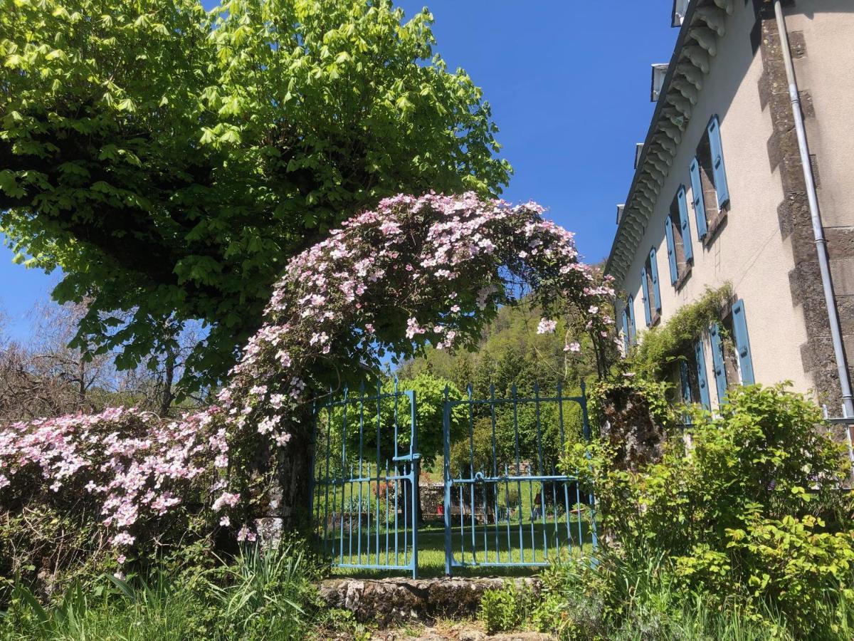 Le Figarelou Bed & Breakfast Thiézac Екстериор снимка