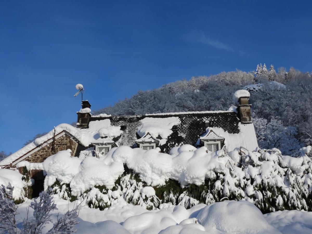 Le Figarelou Bed & Breakfast Thiézac Екстериор снимка